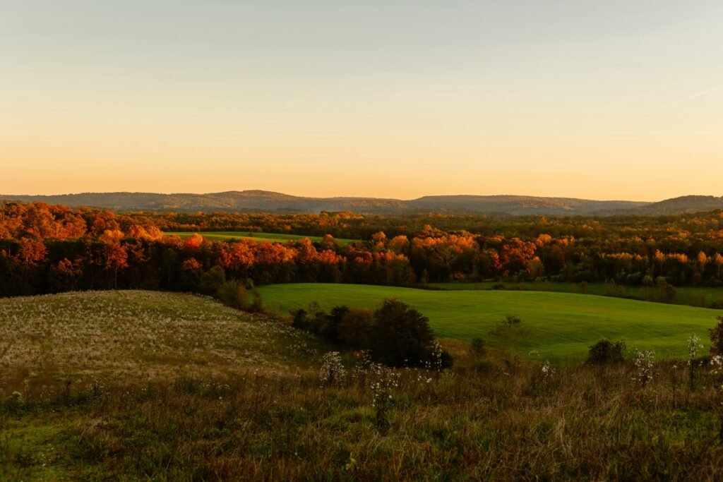 A photo of Tennessee Farmland in Brentwood TN. Search homes for sale in Brentwood, TN